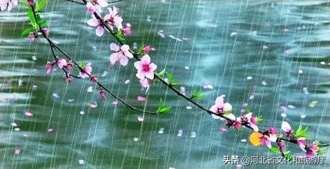  [春天]王母山春日美景图，每一帧都好看！