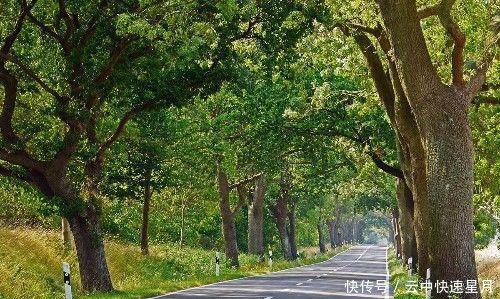 下沉速度比日本还快, 6年下沉1.5米, 3000多万人面临搬迁