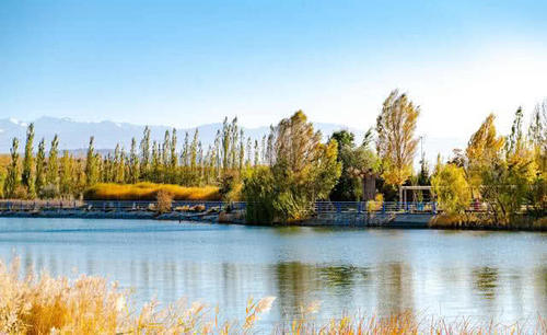 我国最受游客喜欢的景点，外国游客都点赞称奇，一辈子必须去一次