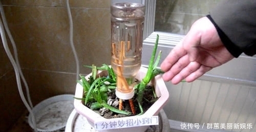  让我们一起■瓶盖上戳2个洞插根筷子，这个作用太牛了，学会一年能省好几百