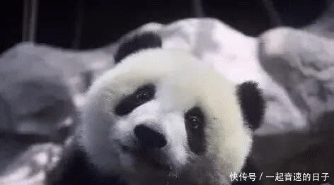 老外如果公平对待，也应该让中国人的身份证过期！中国网友怒怼