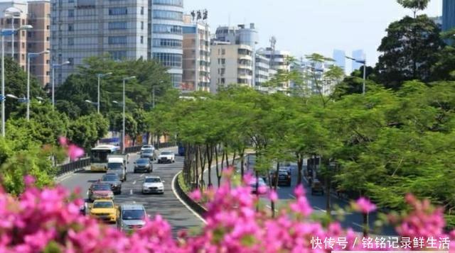  【内衣】广东这座小镇被称为“中国内衣之都”，城建跟地级市差