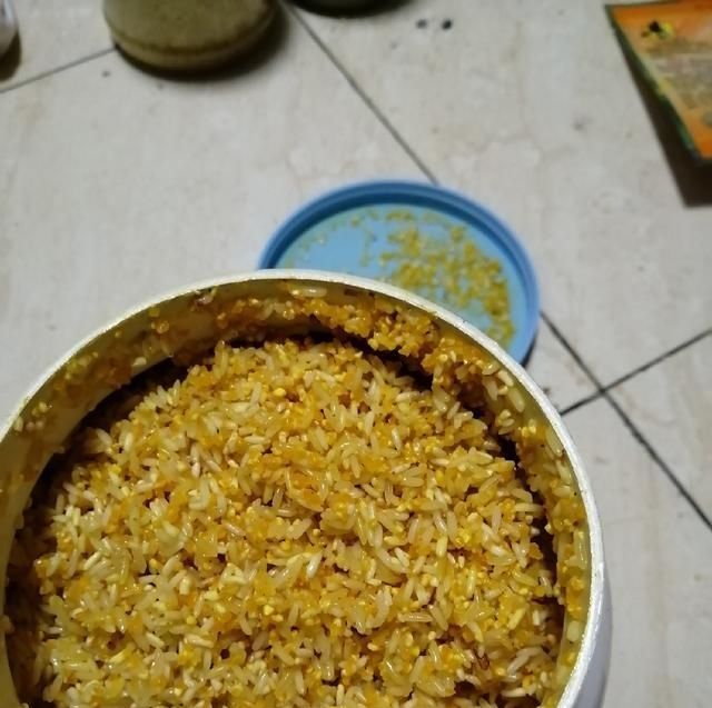  自制：「自制鱼饵」午夜无法入眠，心血来潮把窝做