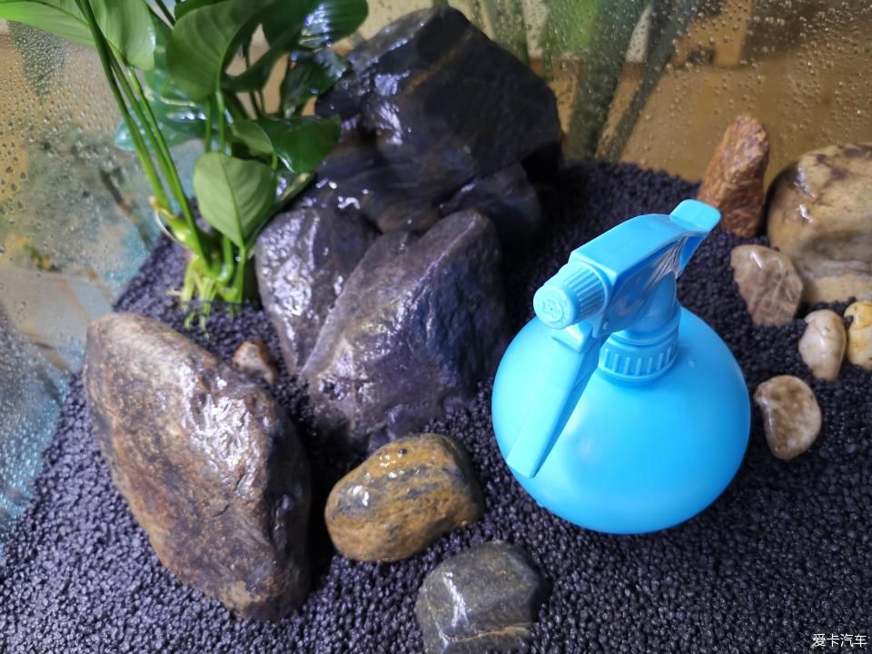  『水质』我家的花花草草第十四季-新手折腾水草缸