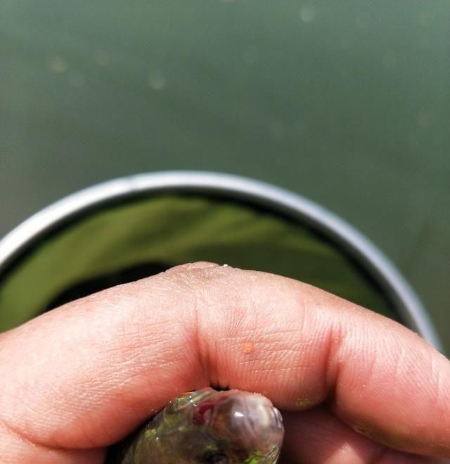  [告别]告别清明连绵雨，迎来初春艳阳天 不去岂冤？