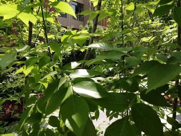 「雷电」降8℃!明天河南这些地方有中雨,局部伴有雷电等强对流天气