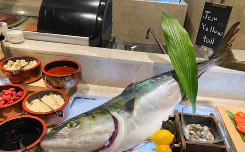 航拍韩国济州岛美景,四天三晚吃喝玩乐全攻略,总有你喜欢的