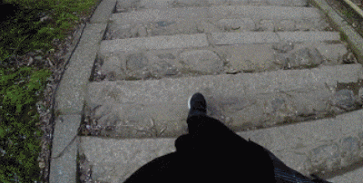 带着养了8年的柯基，她和狗狗一起做了世界上最浪漫的挑战……