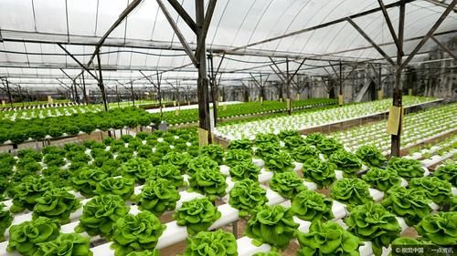  「大市场」适合农村在家创业的四个好项目，简单操作，有很大市