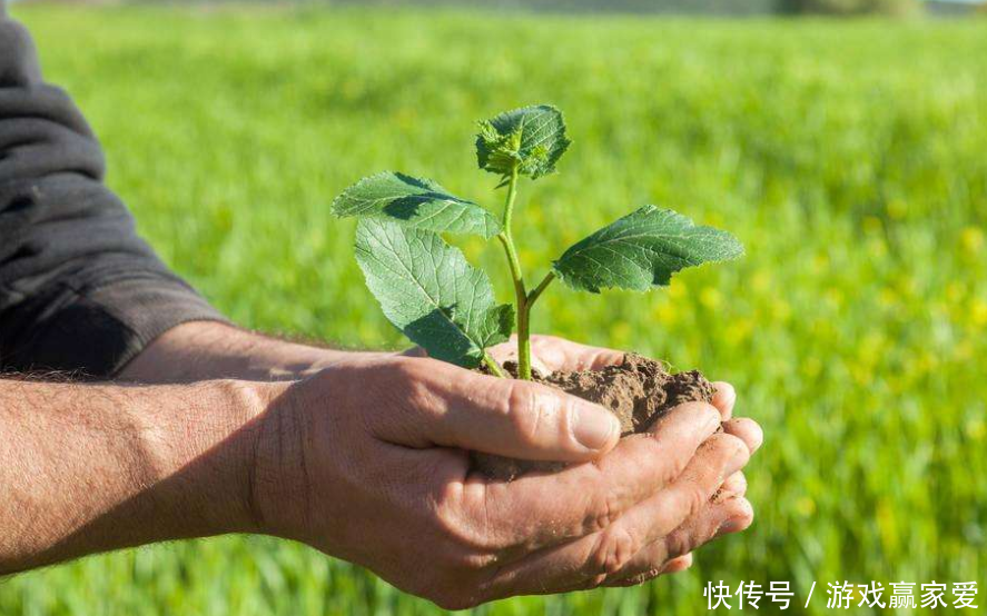 800一斤跌到2元，几十万打水漂。是“致富经”还是“骗子”。