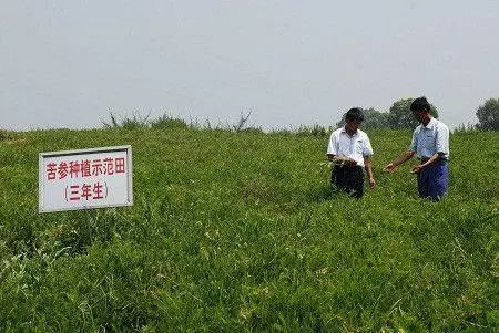 未来5年可能“暴富”的4种农村职业，看你敢不敢干，敢干就有机会