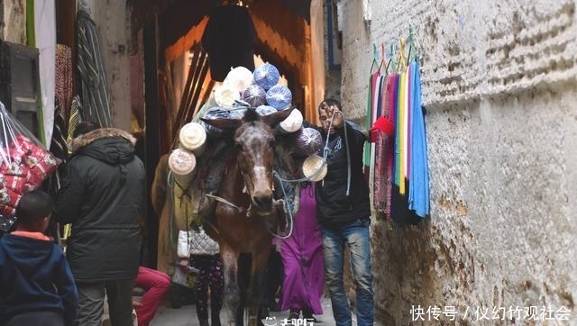 非洲最臭名昭著的工作：工人用粪尿加工皮革，气味刺鼻游客受不了