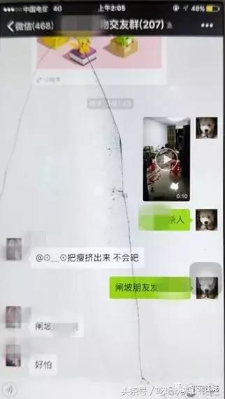 醒鸡！阳江又一男子因造谣传谣被依法拘留了……