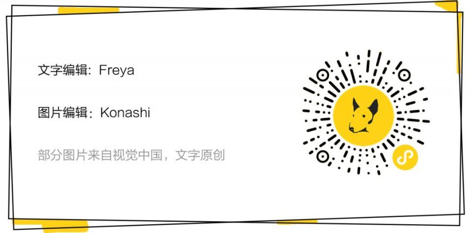 无心插柳 | 我发现，只用花七分之一的钱就可以买到大牌诶