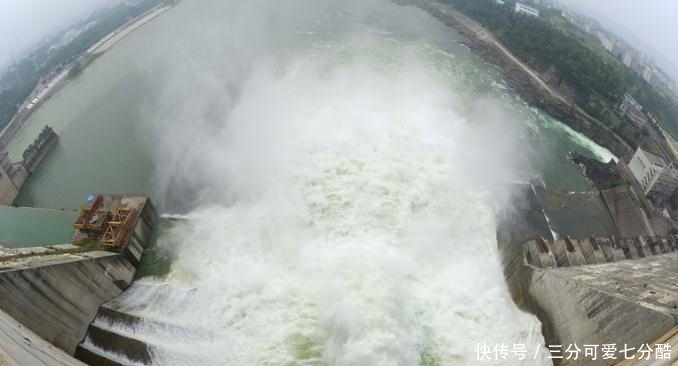  「南水北调」南水北调调去的水里，有没有鱼儿？说出来相信你会