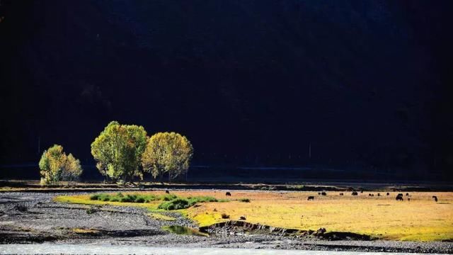 康定国际情歌节攻略！电音电竞赛马，这样过七夕简直酷Skr人！