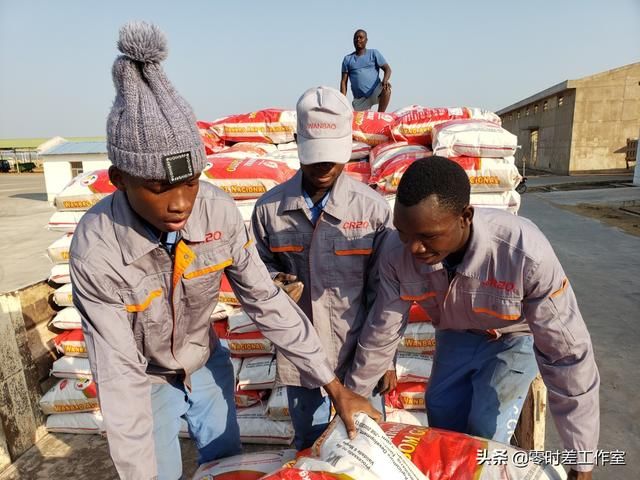  「非洲」在非洲种田：中国杂交水稻让更多非洲朋友吃上大米饭