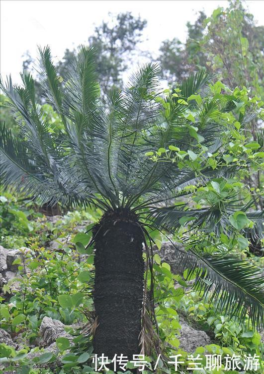  唯一：中国唯一以花名命名的城市，地处两省交界，你一定知道！