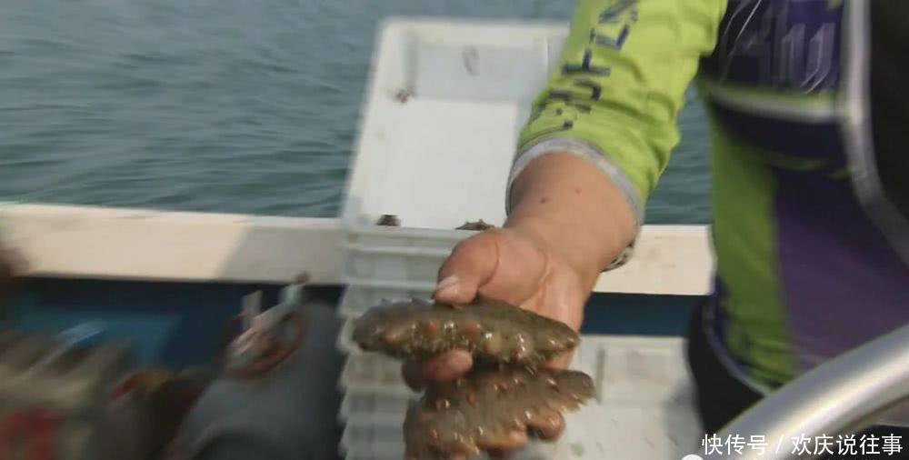  『国家级』山东荣成：海钓惊喜连连 海味流连忘返