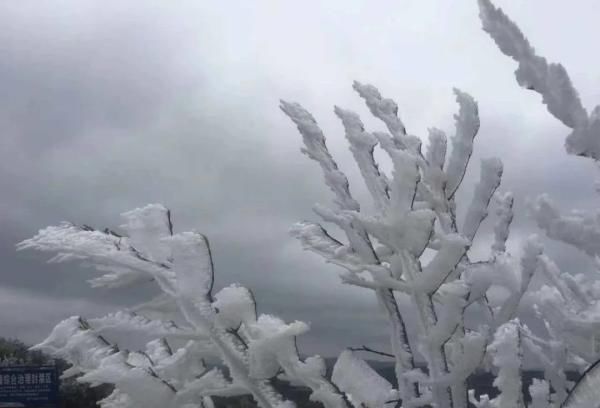  [威宁]昨天大雪，今天大太阳！未来几天要升到30℃！贵州这天气……