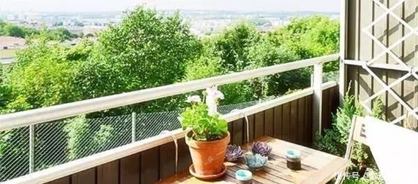  搜罗■史上最全“懒人植物”大搜罗，看看哪盆才是你的心头好