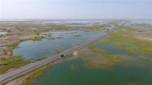 台特玛湖,塔里木河输水成湖!