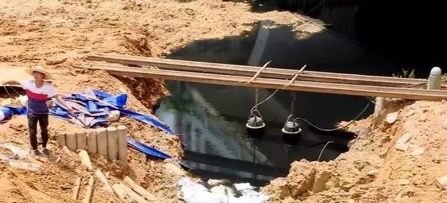 大量死鱼！广西南宁可心江一夜之间变“墨水河”，污染源不明