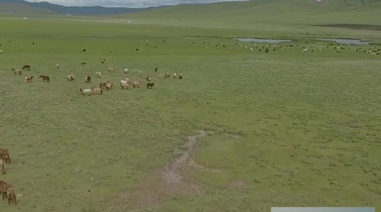 亚洲的蒙古国度，几十年前选择与中国分离，如今过的怎么样？