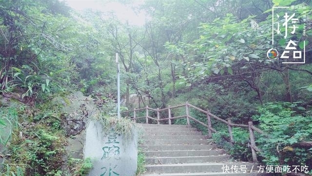 只知道重庆南山“一棵树”？其实，这里还有“壹碗水”