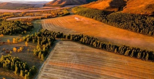 有一种美,叫秋天的乌兰布统