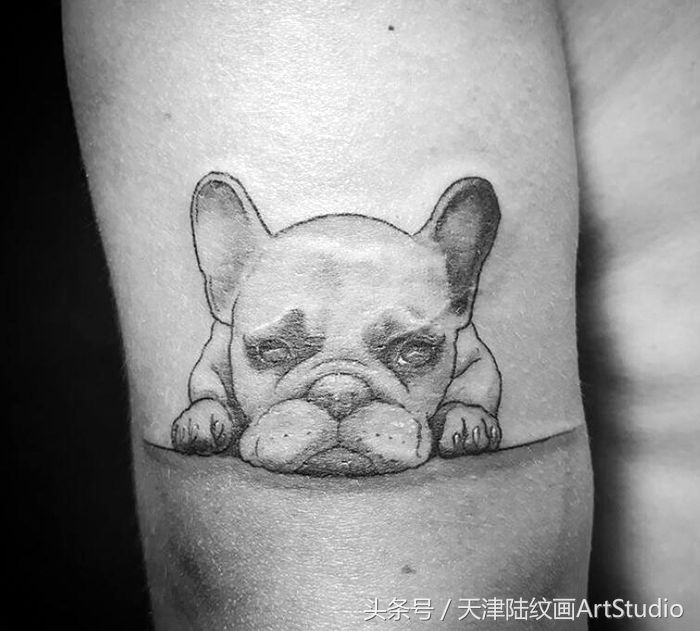 这些纹身真的好美 即使我们慢慢的老去而纹身之美在于永远的陪伴