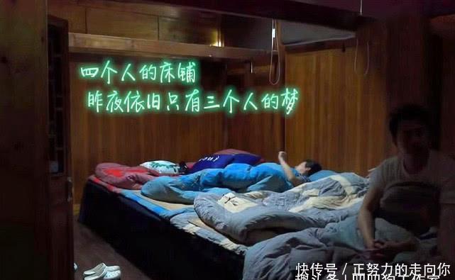 陌生■观三季《向往的生活》房子越来越大,人越来越陌生,留下太多遗憾