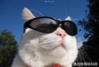  『开心』轻松笑话，每天都要更开心一点