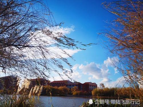 冬日里来一次说走就走的肆意温暖-昆明