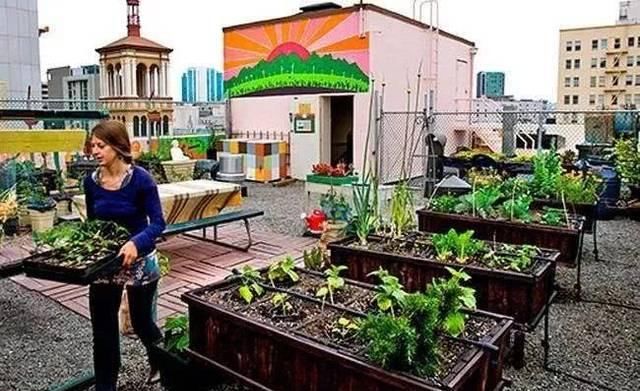  产品|植物工厂：90％不盈利，但产品符合消费趋势，未来价值可期