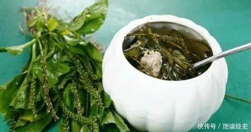  车前草■农村人憎恨的野草，喂鸡是一绝，却不知晒干一斤卖5元，