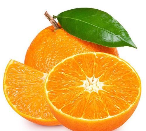  【人类】模仿行为并不是人类独有专利，植物的“模仿秀”也令人叹为观止！