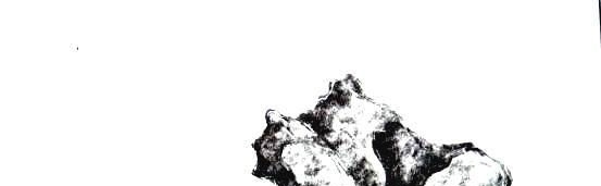 『独钓寒江雪』山石盆景怎么制作?经典案例图解