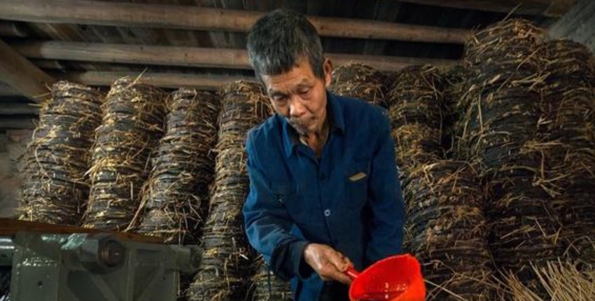  油渣饼@农村在榨油，不用钱，但榨出来的菜籽渣和花生渣不给你，