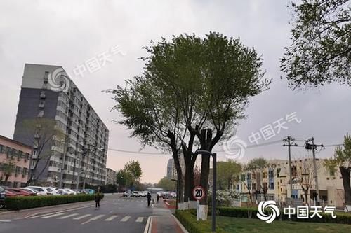  山区：今天北京有降水山区飘雪 最高气温跌至12℃