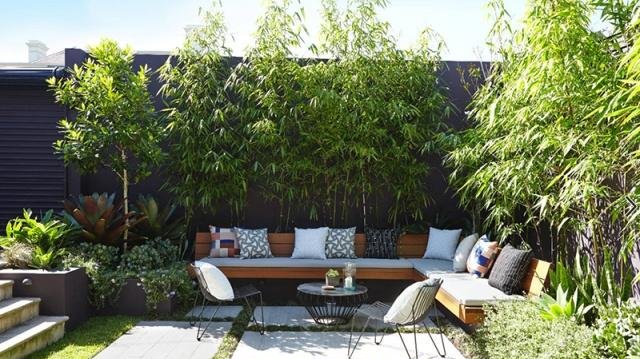 庭院竹子50张图告诉你，花园里种竹子有多高大上，气质瞬间提升