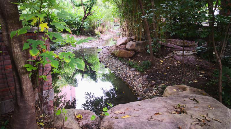 楼上装修建筑垃圾堆楼下、小区景观河没人管变黑臭……宝山区已介