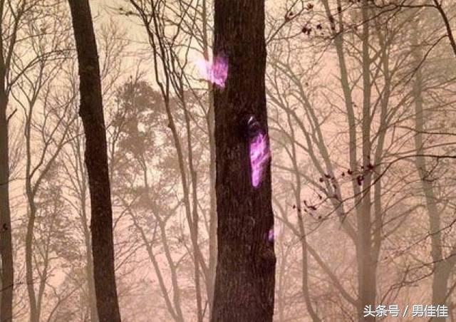 世界上最奇葩的8张照片，不要怀疑你的眼睛，真的没有PS !