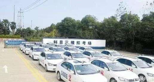 驾照考试迎来大改革，没考驾照的真幸运，学员：开心到多吃俩馒头