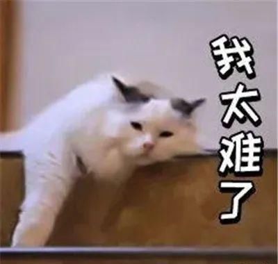  「春天」西装+吊带，春天这样穿太气质了！