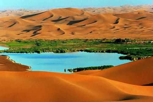  蚂蚁：马云的蚂蚁森林已经三年，现场卫星图曝光后，引网友瞬间