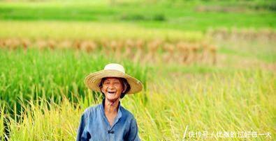 农民注意超过这个岁数就不用交新农合了，别再花冤枉钱了！