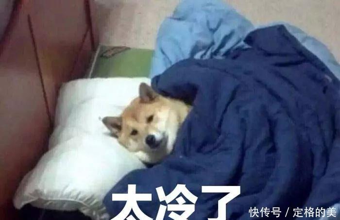  跳楼■寒潮 暴雪预警！气温跳楼大甩卖 9省区降温超10℃ ！