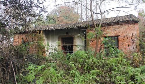 农村宅基地建房又出新规！这是为什么呢？村干部告诉你答案