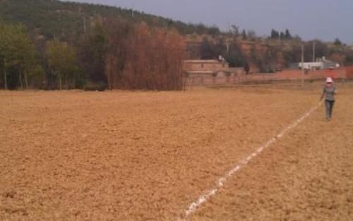  补贴：好消息！2019年农民不种地也能拿补贴了，最少拿1000元，